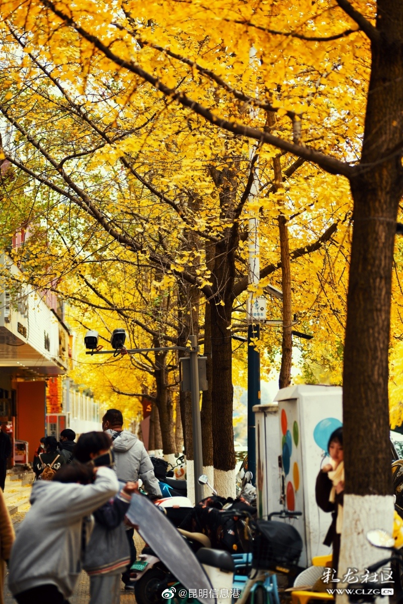 昆明信息港（微博）