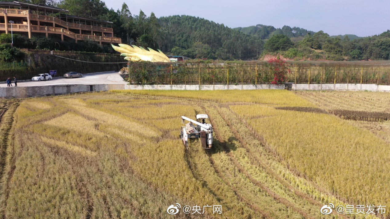 呈贡发布