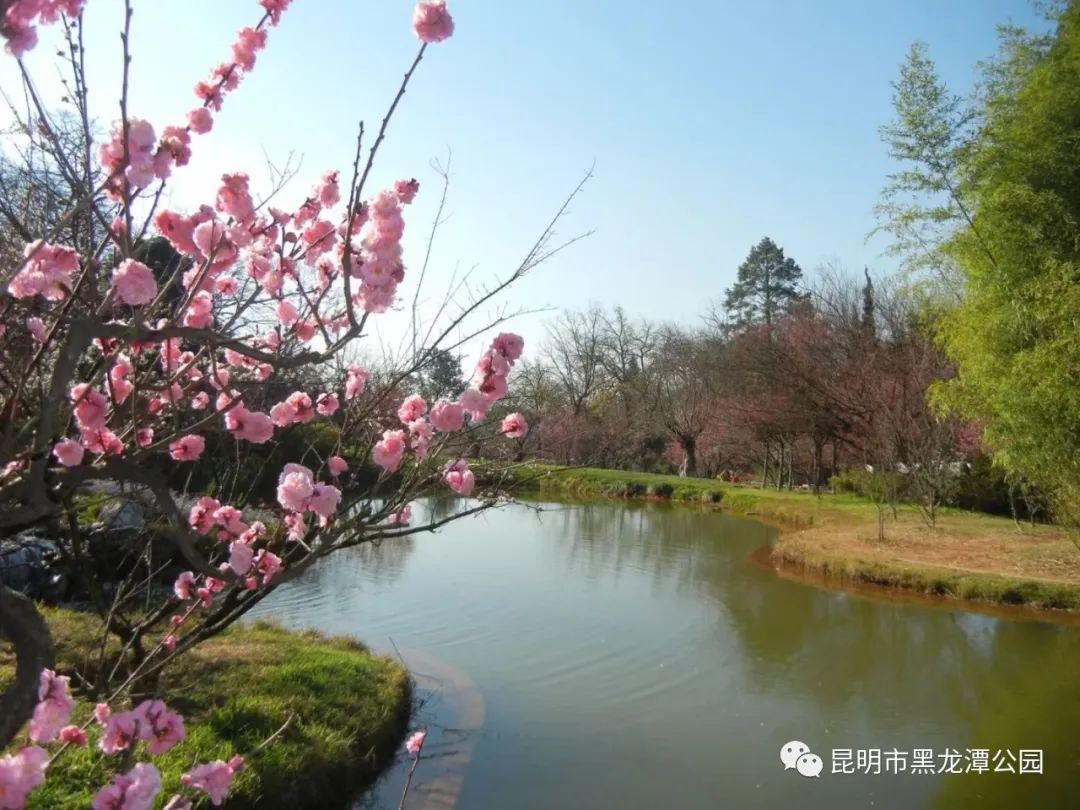 昆明市黑龙潭公园