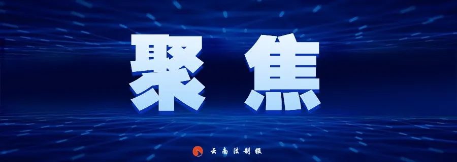 云南法制报