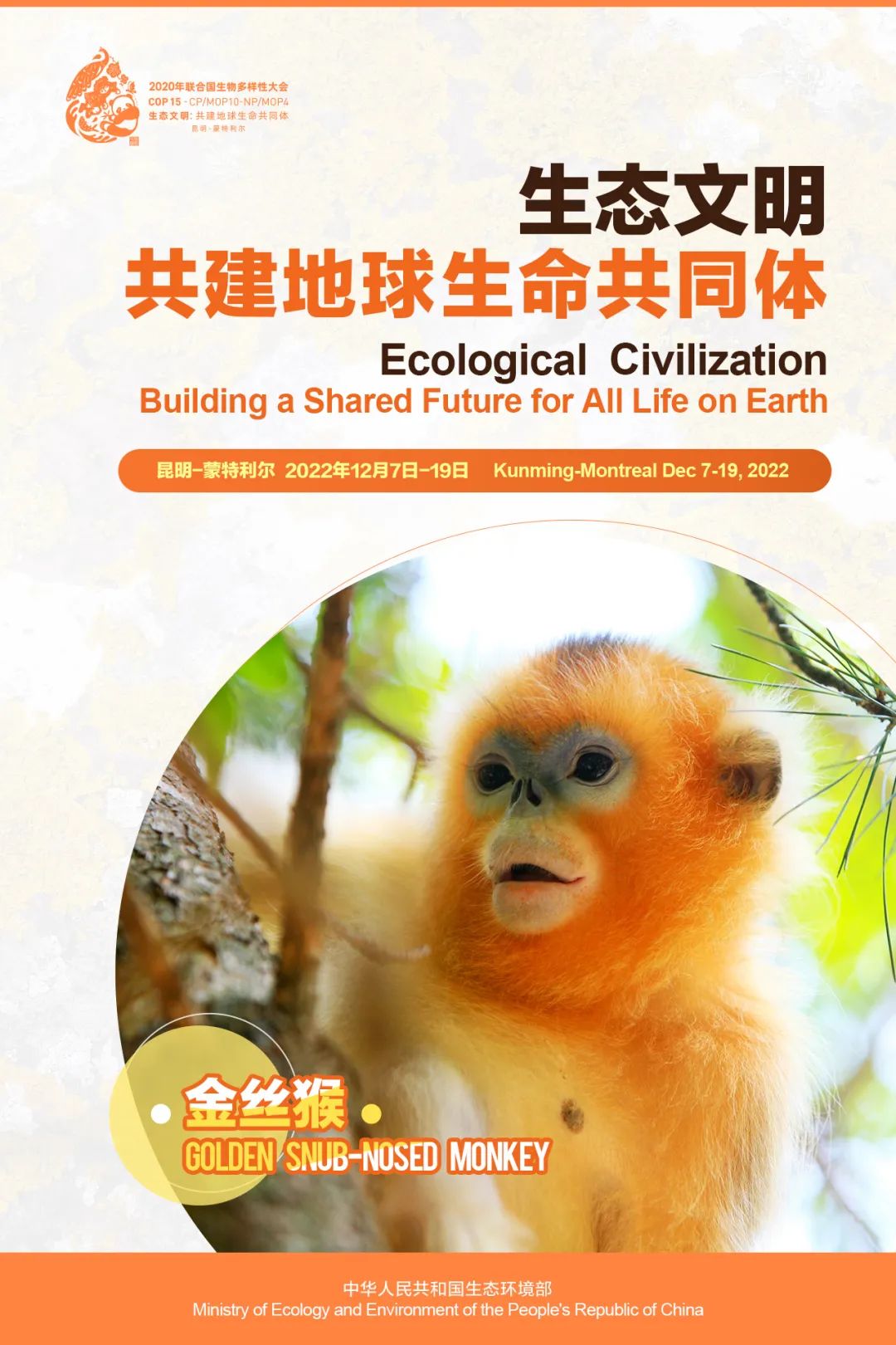 玉溪发布