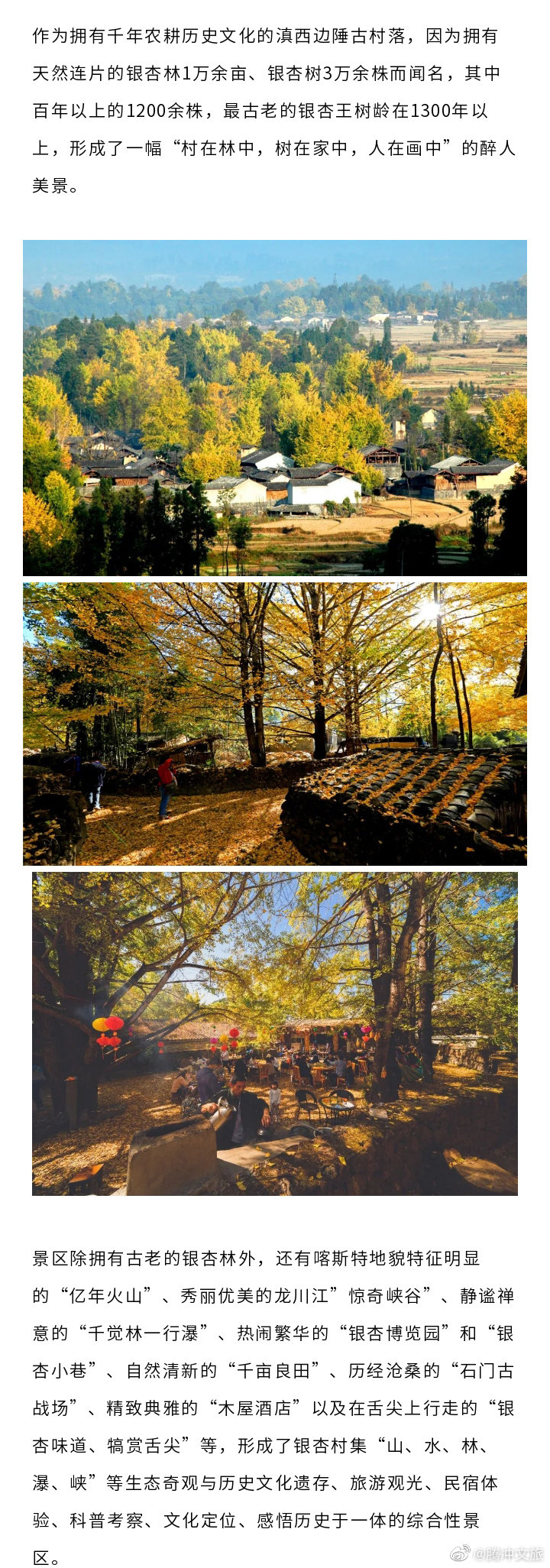 腾冲文旅微博