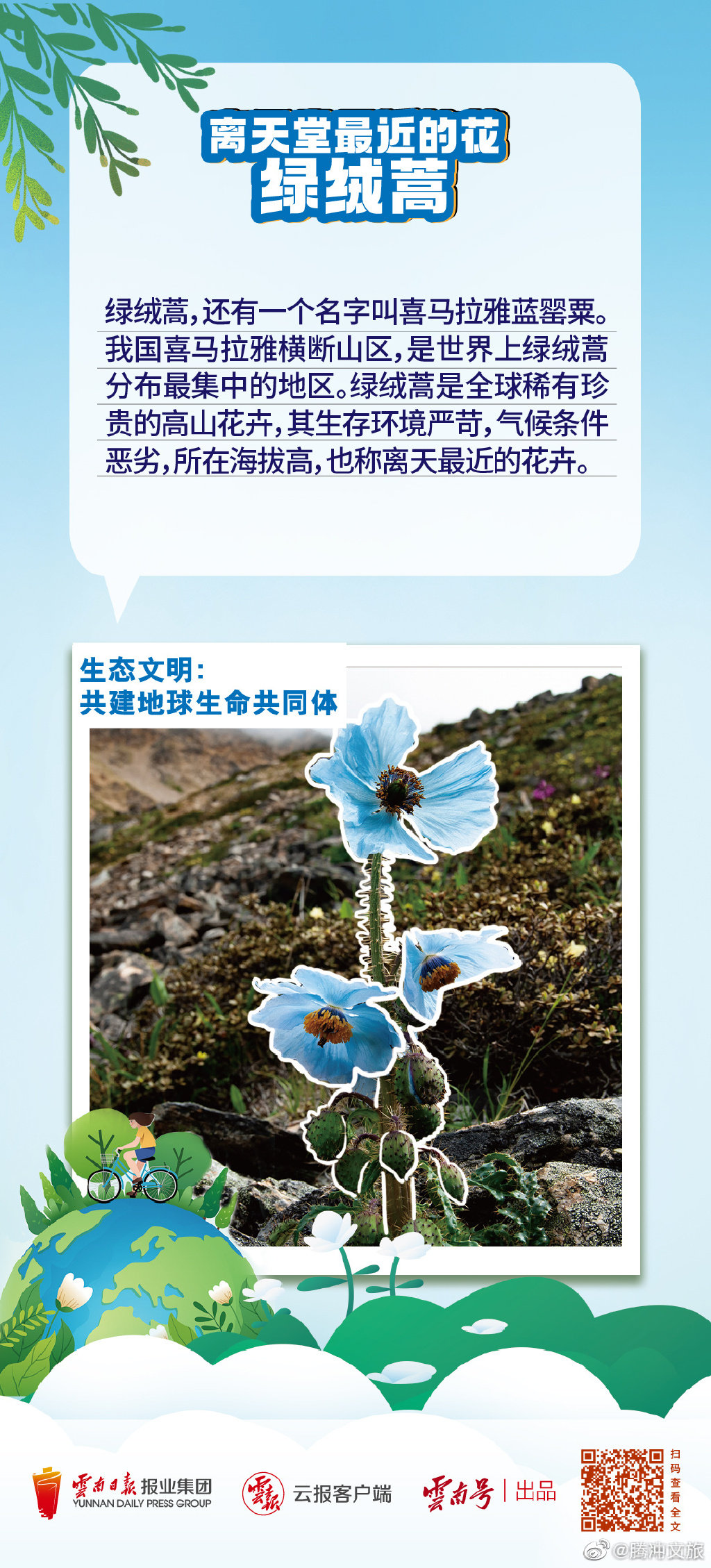 腾冲文旅微博