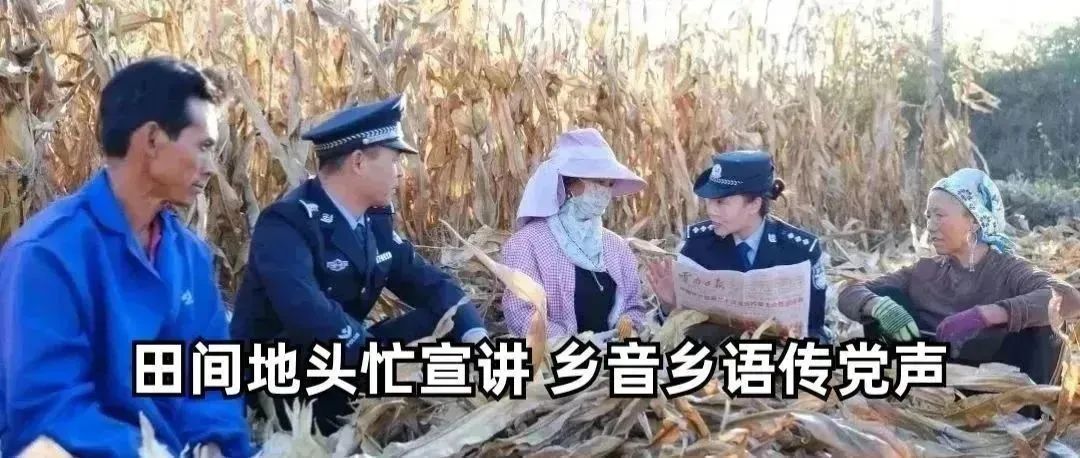云南政法