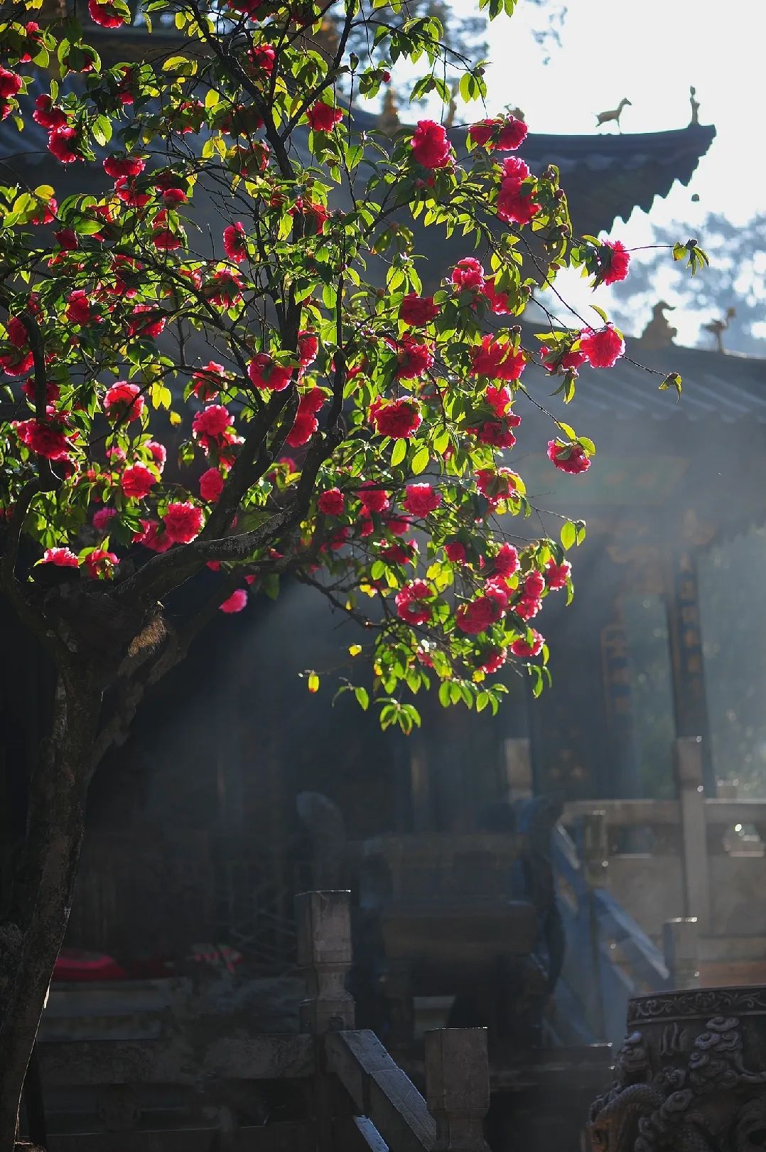 昆明市金殿名胜区
