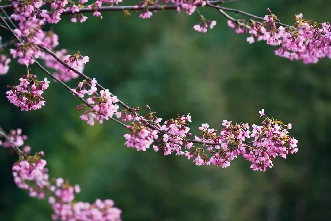 保山新闻网