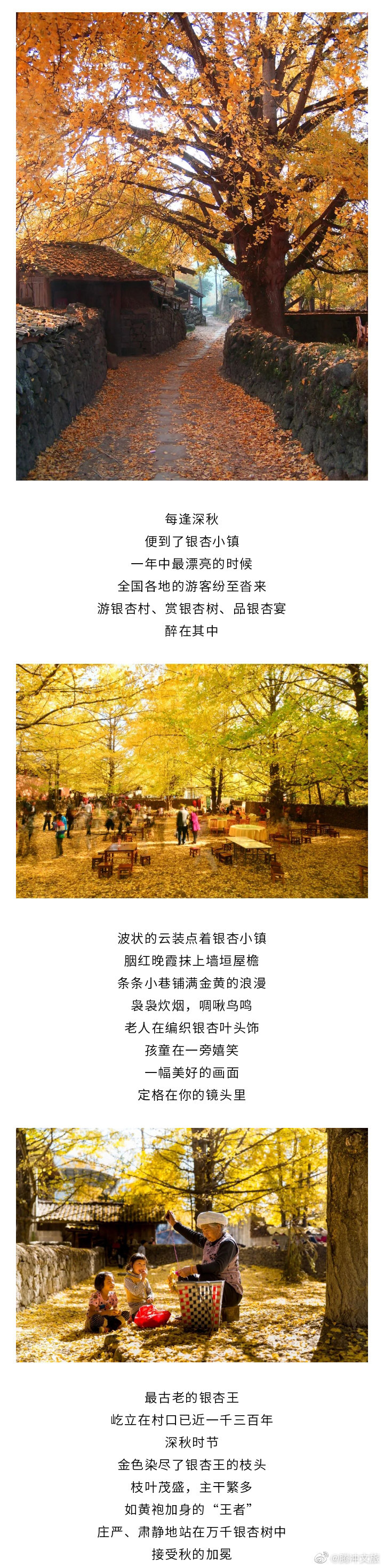 腾冲文旅微博
