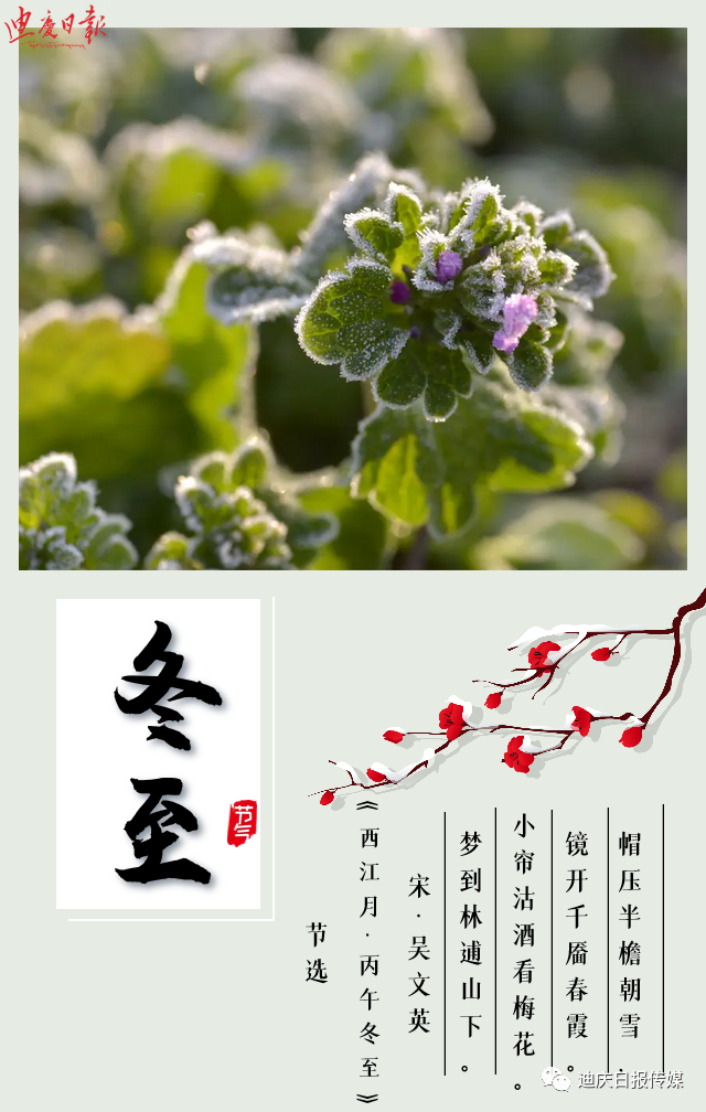 迪庆日报传媒