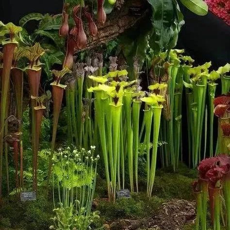 昆明阳宗海风景名胜区