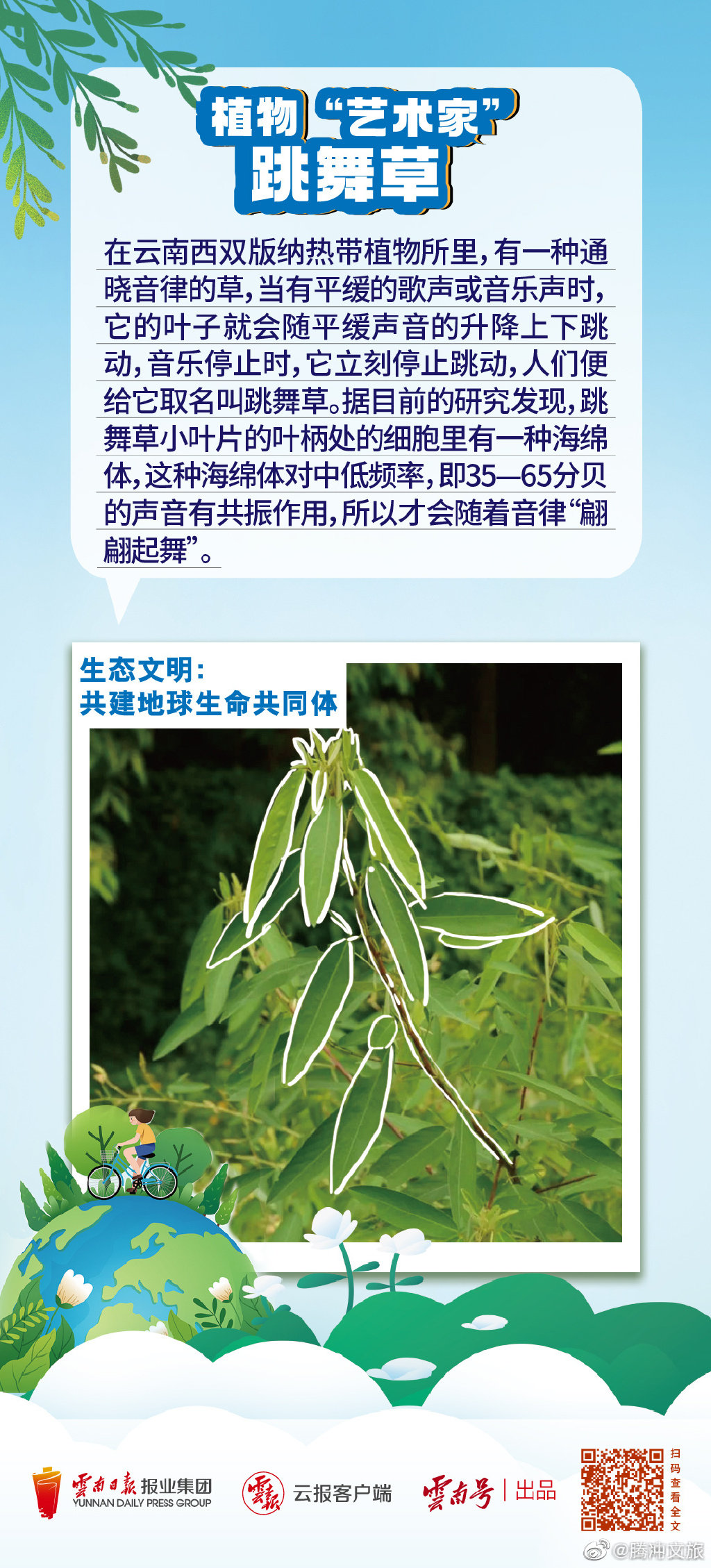 腾冲文旅微博