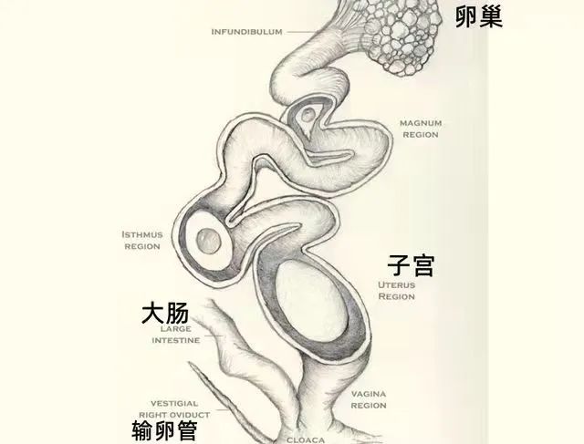 云南野生动物园