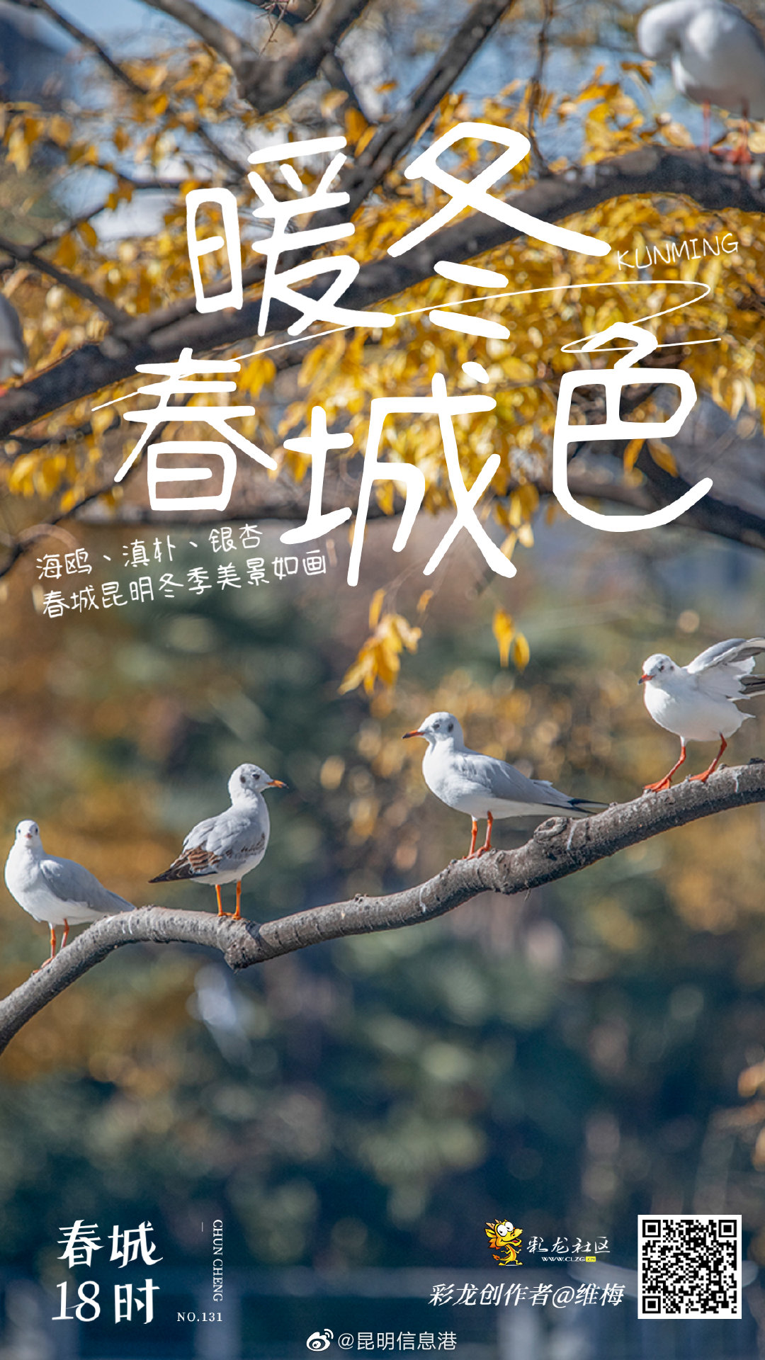 昆明信息港