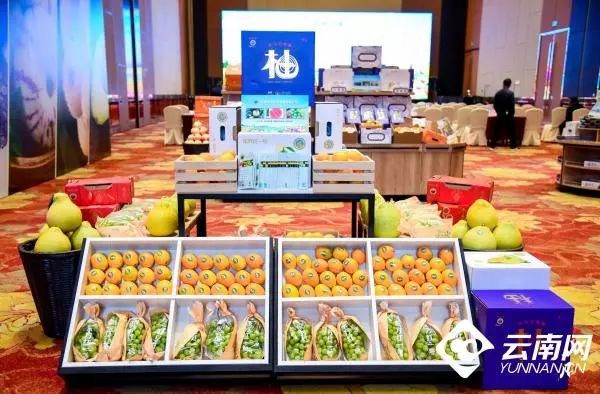 昆明市农业农村局
