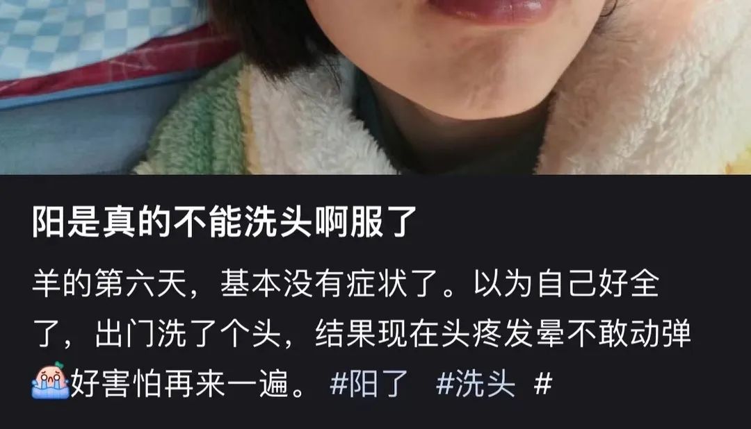 春城晚报