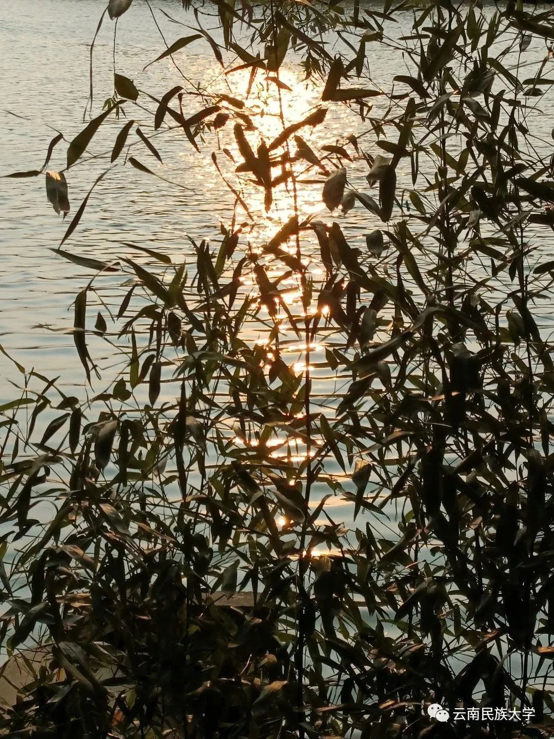 云南省文化和旅游厅
