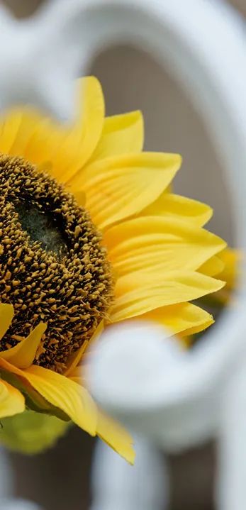 云南省传染病医院