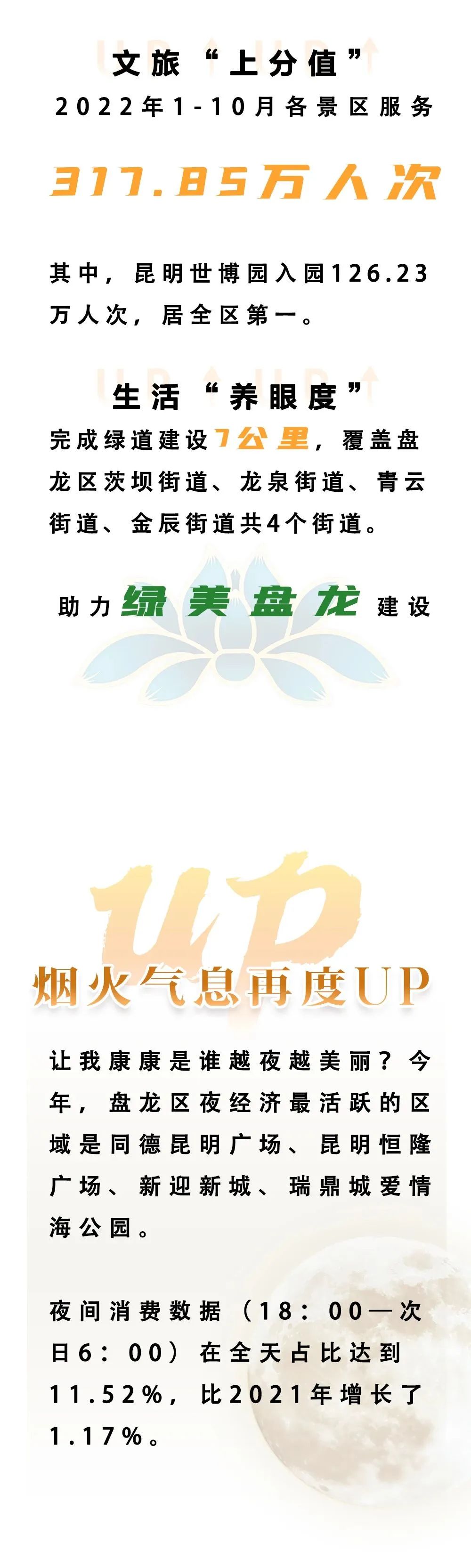 微观盘龙