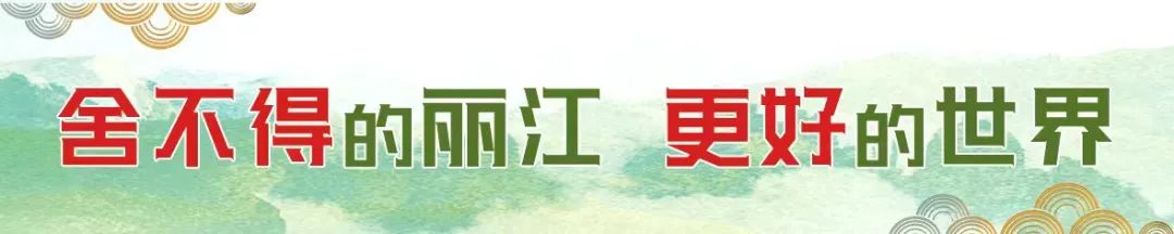 丽江日报