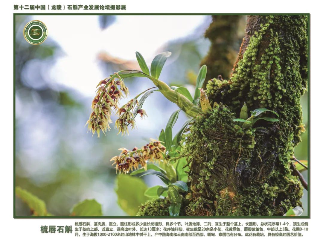 保山广播电视台