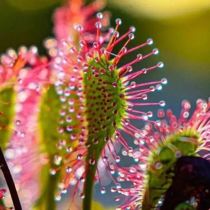 昆明阳宗海风景名胜区