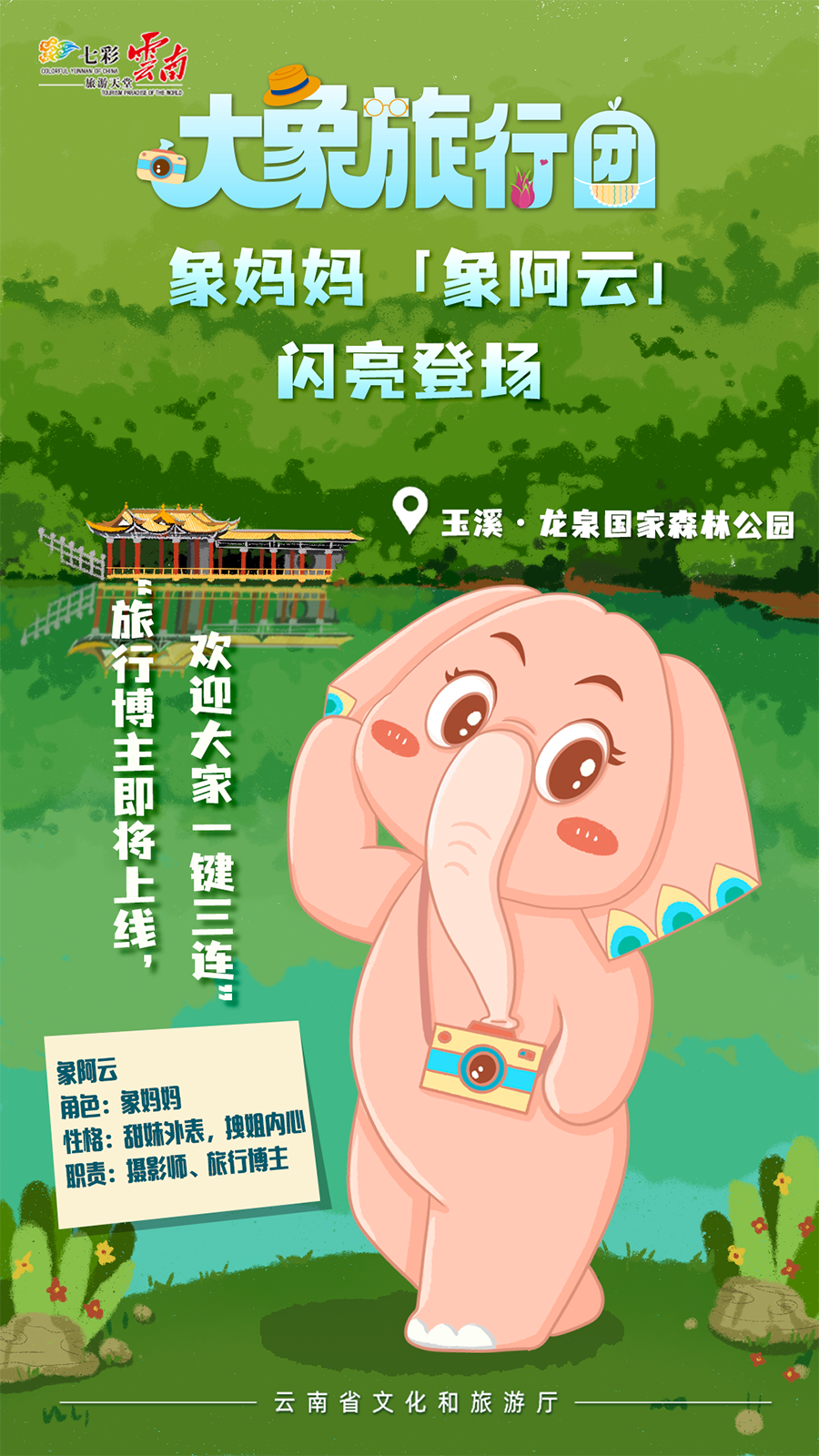 新华网云南频道