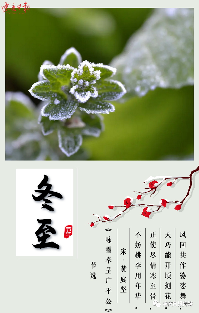 迪庆日报传媒