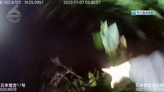 昆明信息港/cnkmxxg