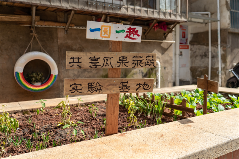 微观盘龙