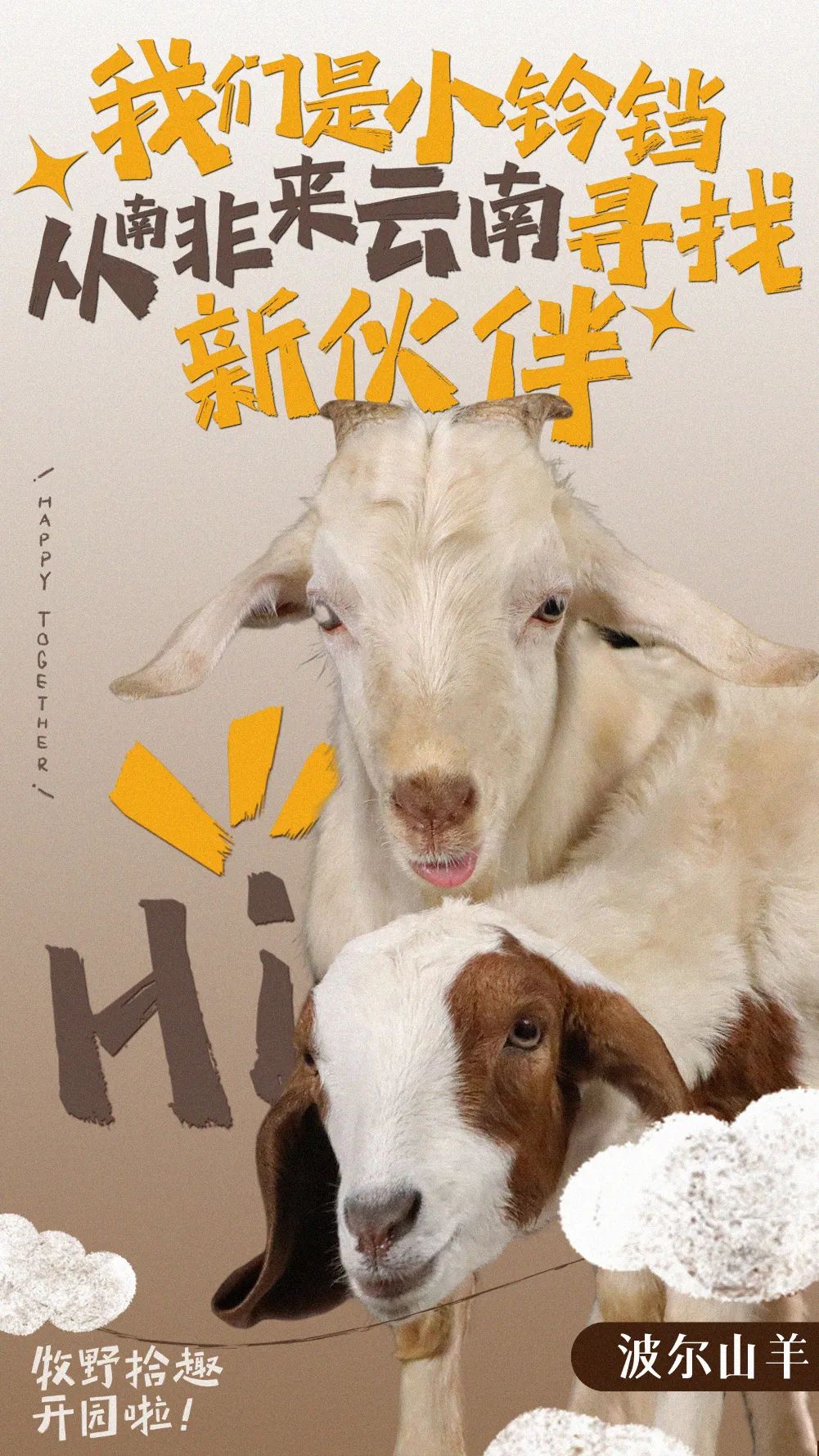 掌上春城