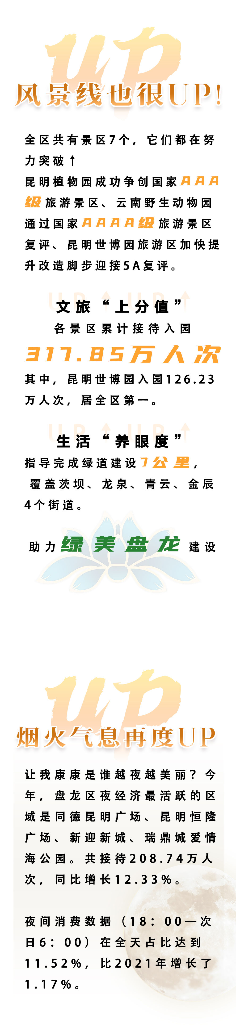 微观盘龙