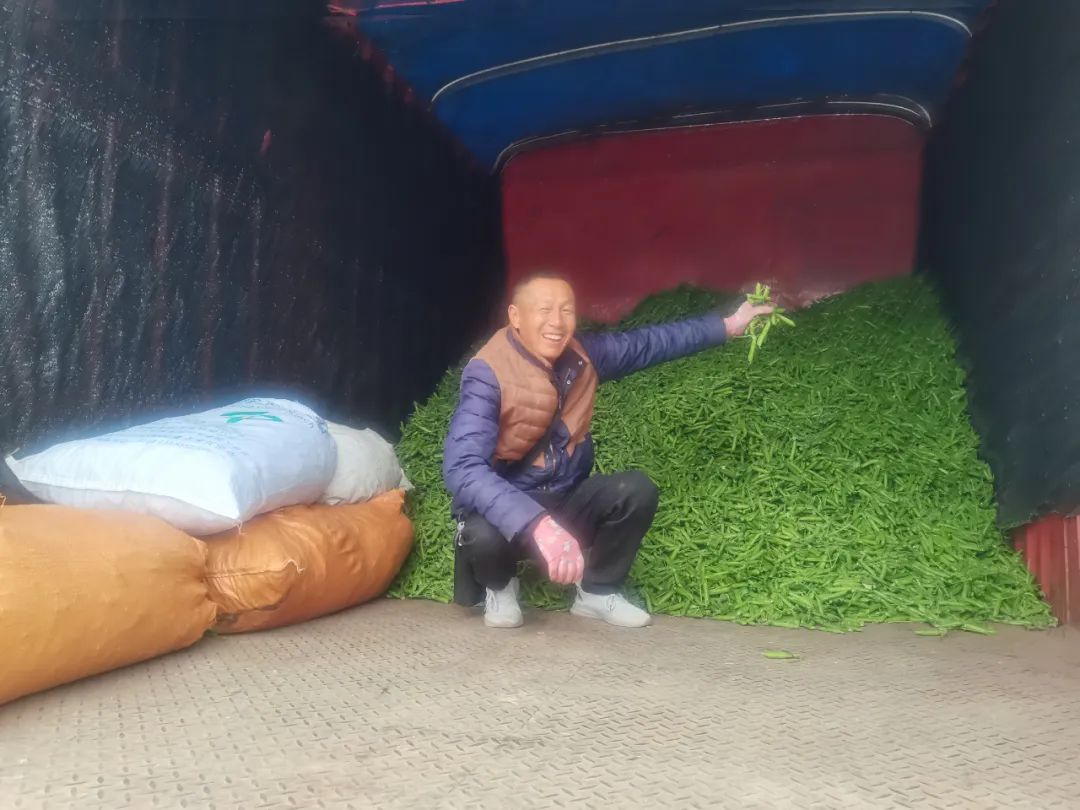 丽江日报