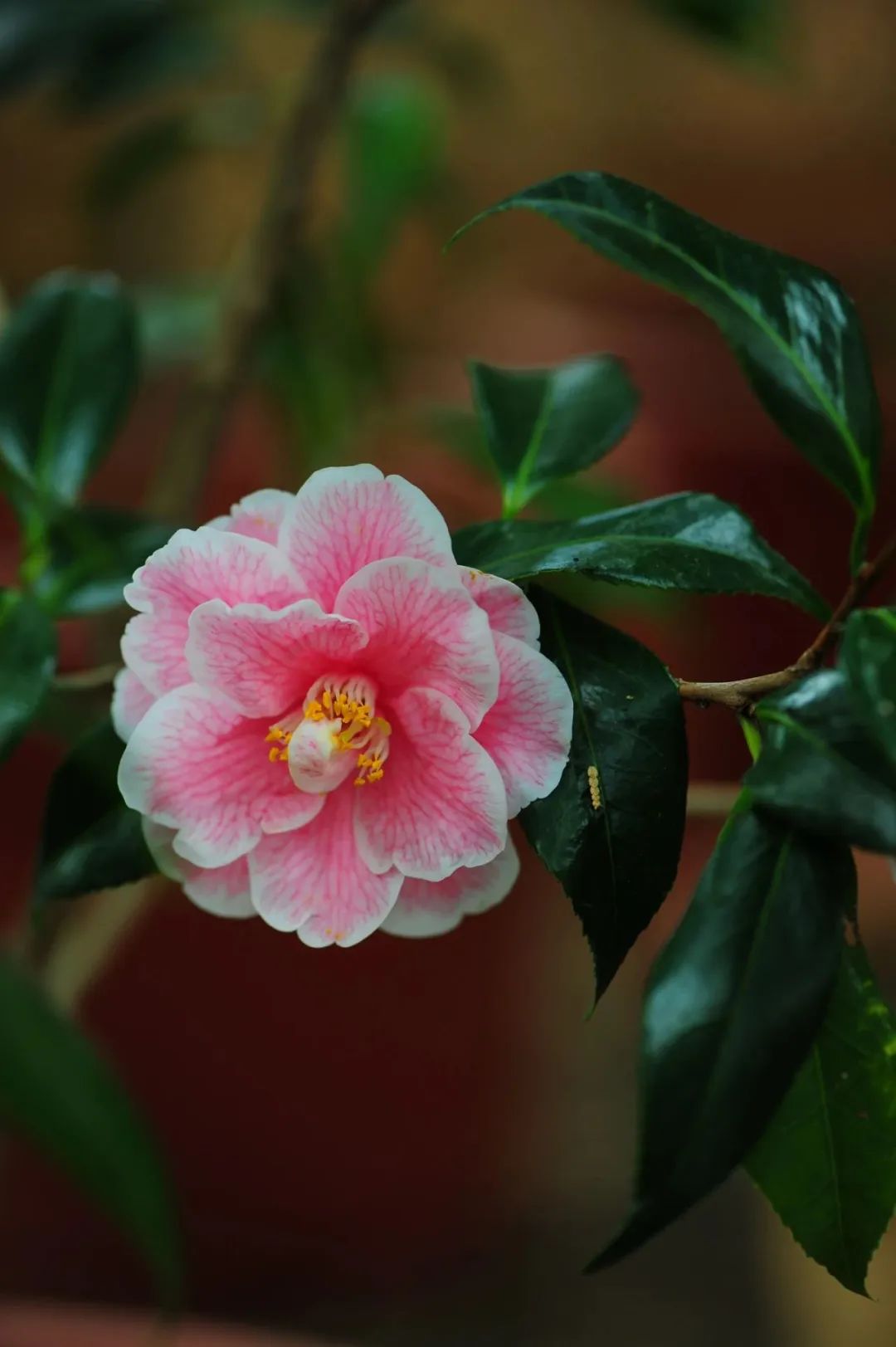 昆明市金殿名胜区