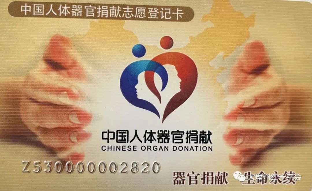 大理电视台