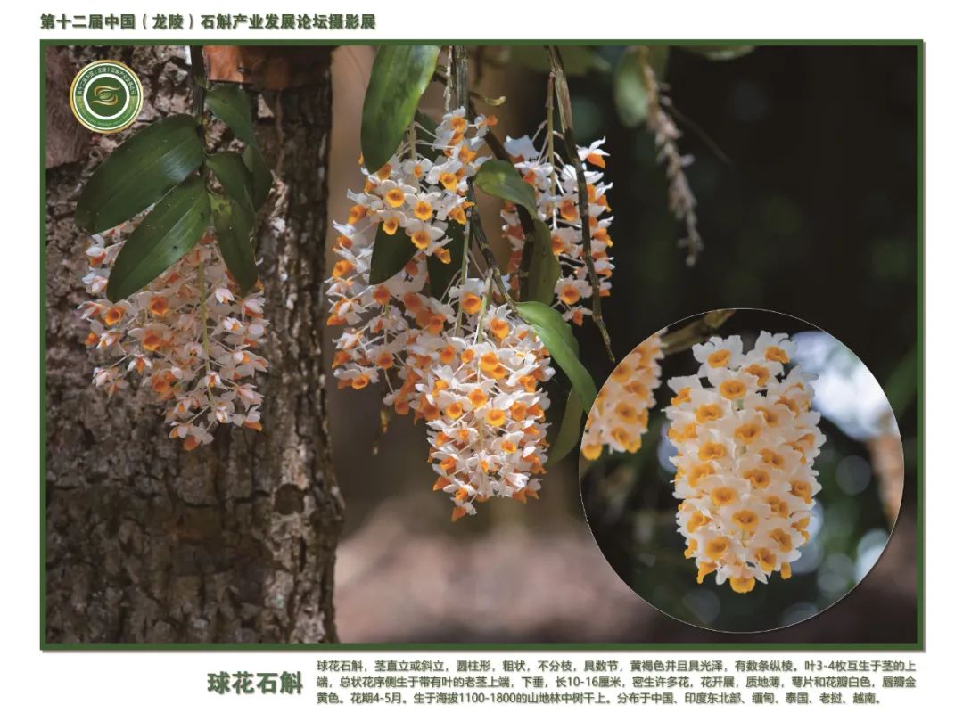 保山广播电视台