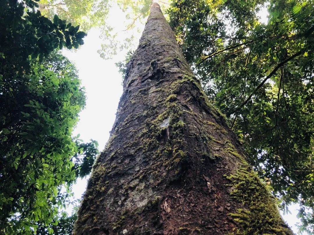 一部手机游云南