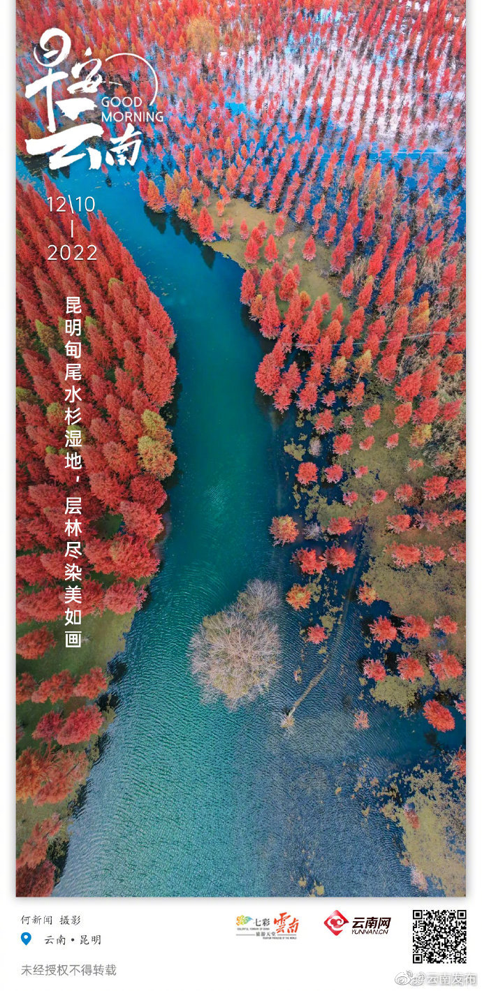 昆明甸尾水杉湿地，层林尽染美如画