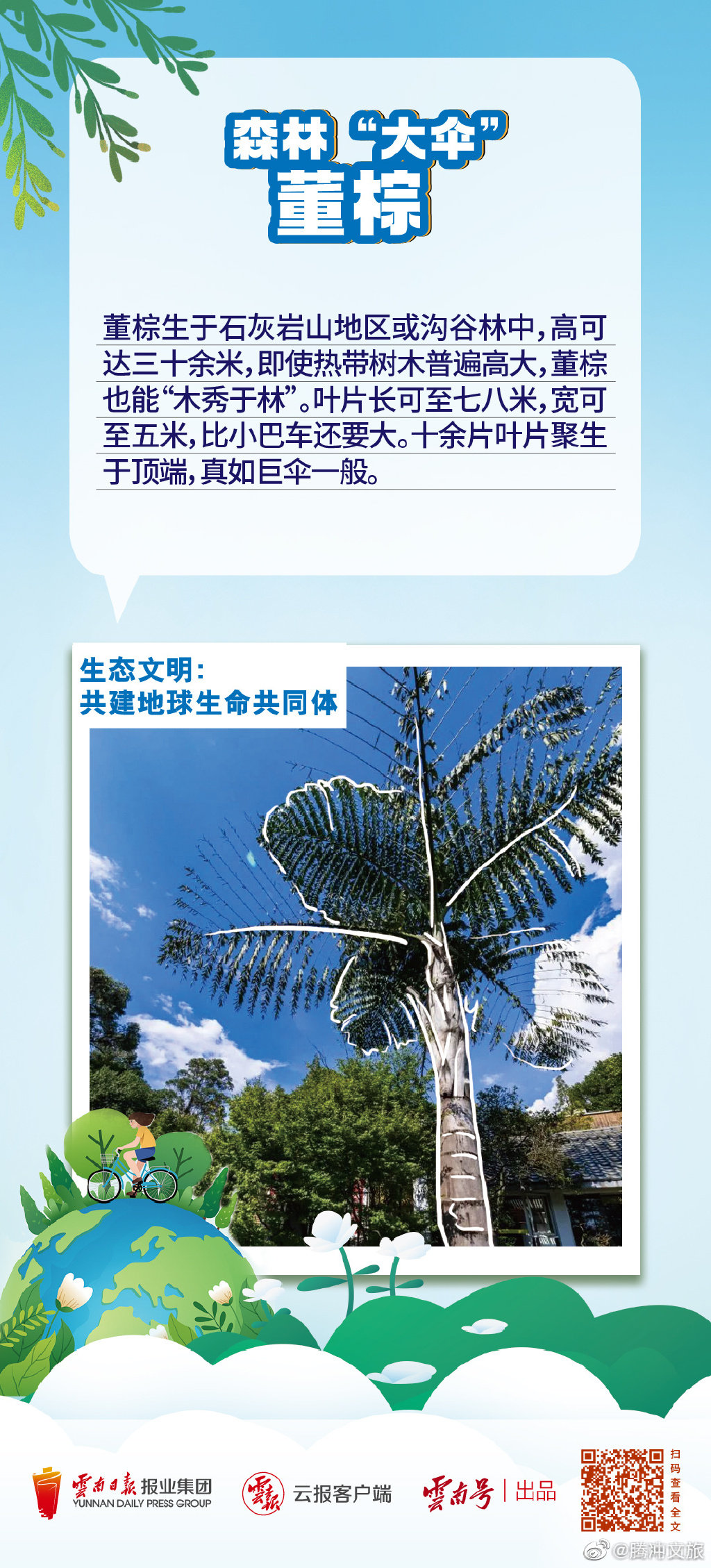 腾冲文旅微博