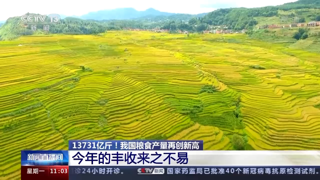 昆明市农业农村局