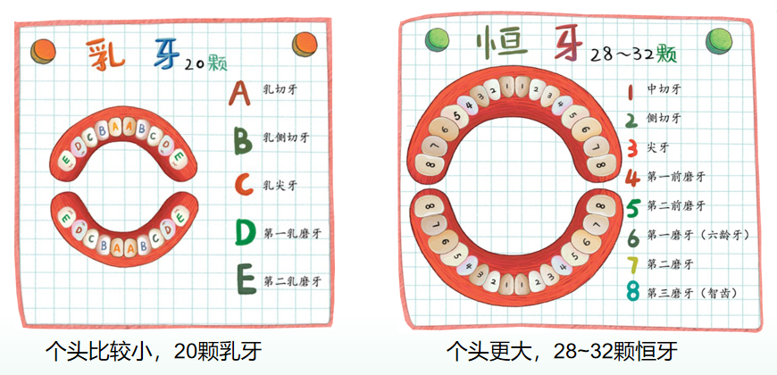 昆明医科大学附属口腔医院