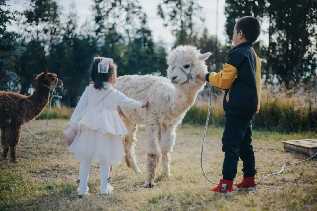 昆明阳宗海风景名胜区