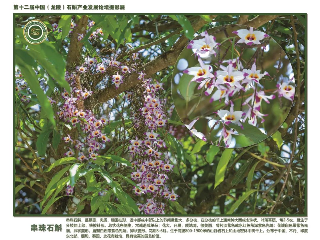 保山广播电视台