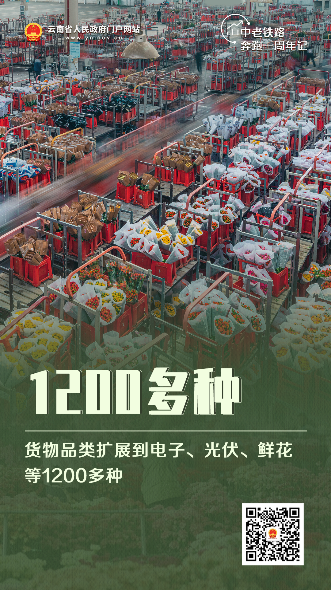 昆明信息港/cnkmxxg