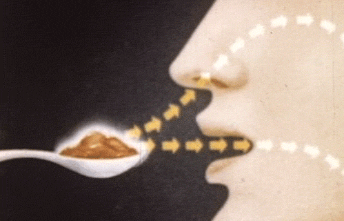 嗅觉减退可以多闻闻强烈气味