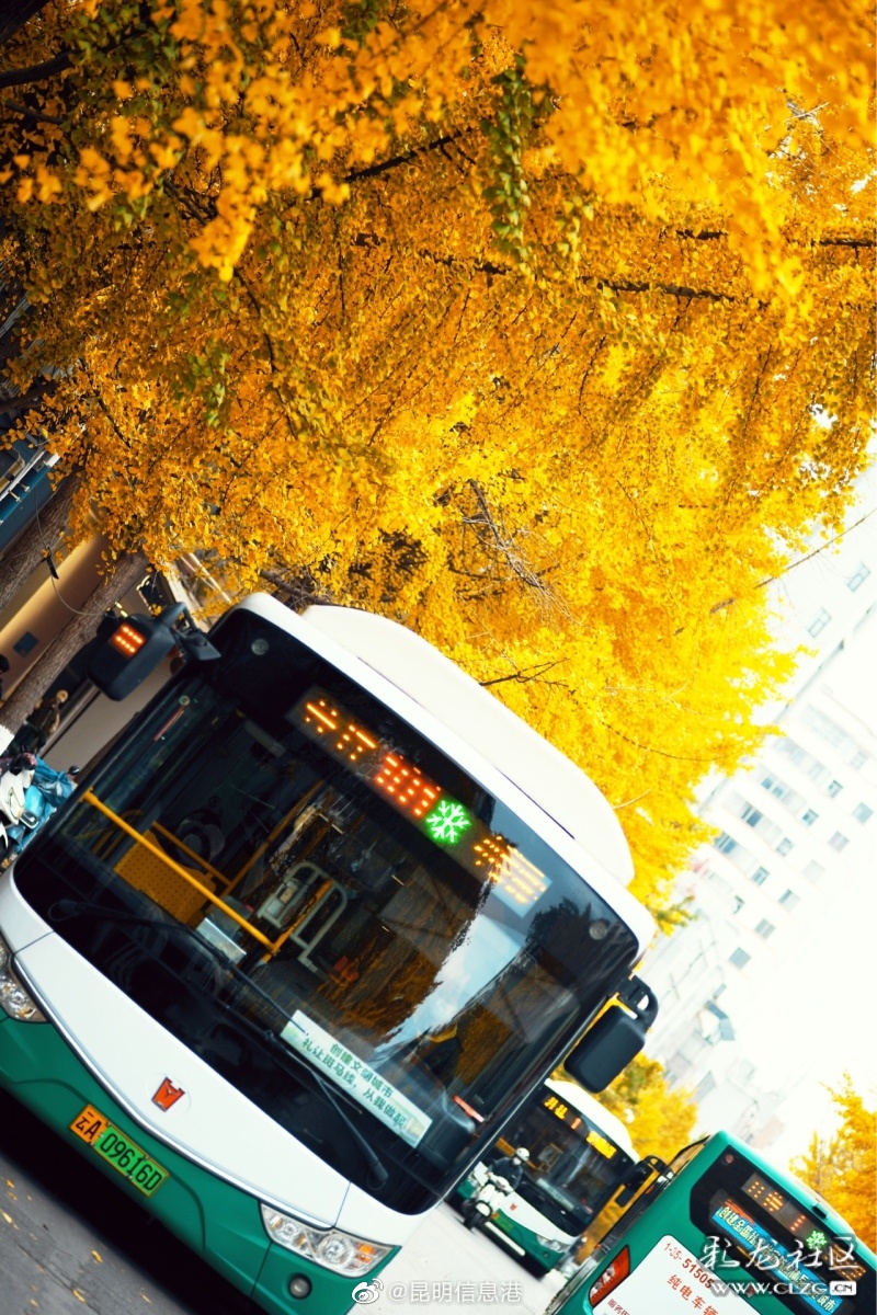 昆明信息港（微博）