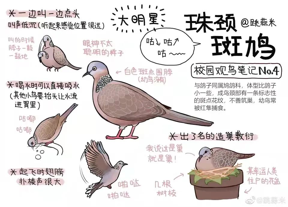 云南野生动物园