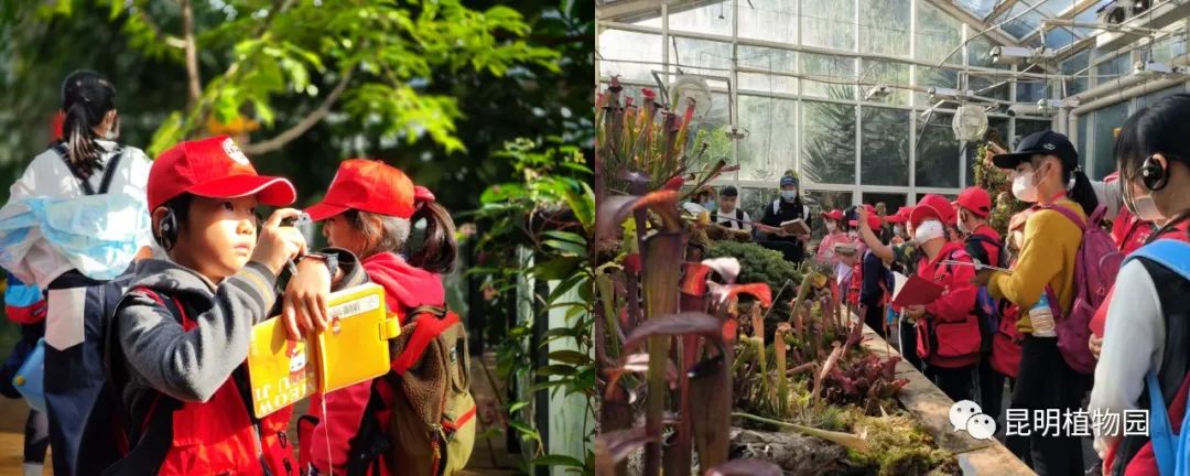 昆明植物园