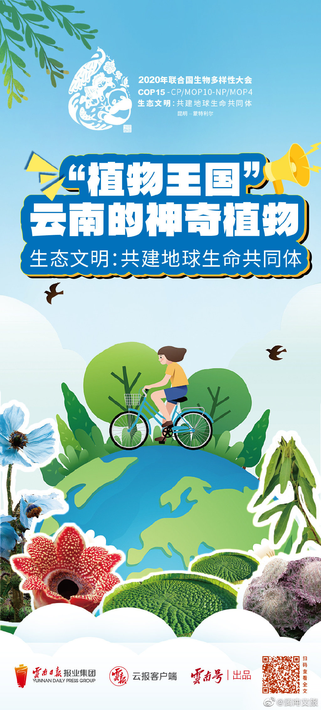 腾冲文旅微博
