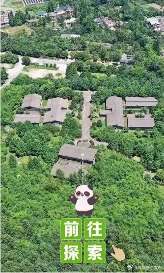 为什么全世界都爱大熊猫？