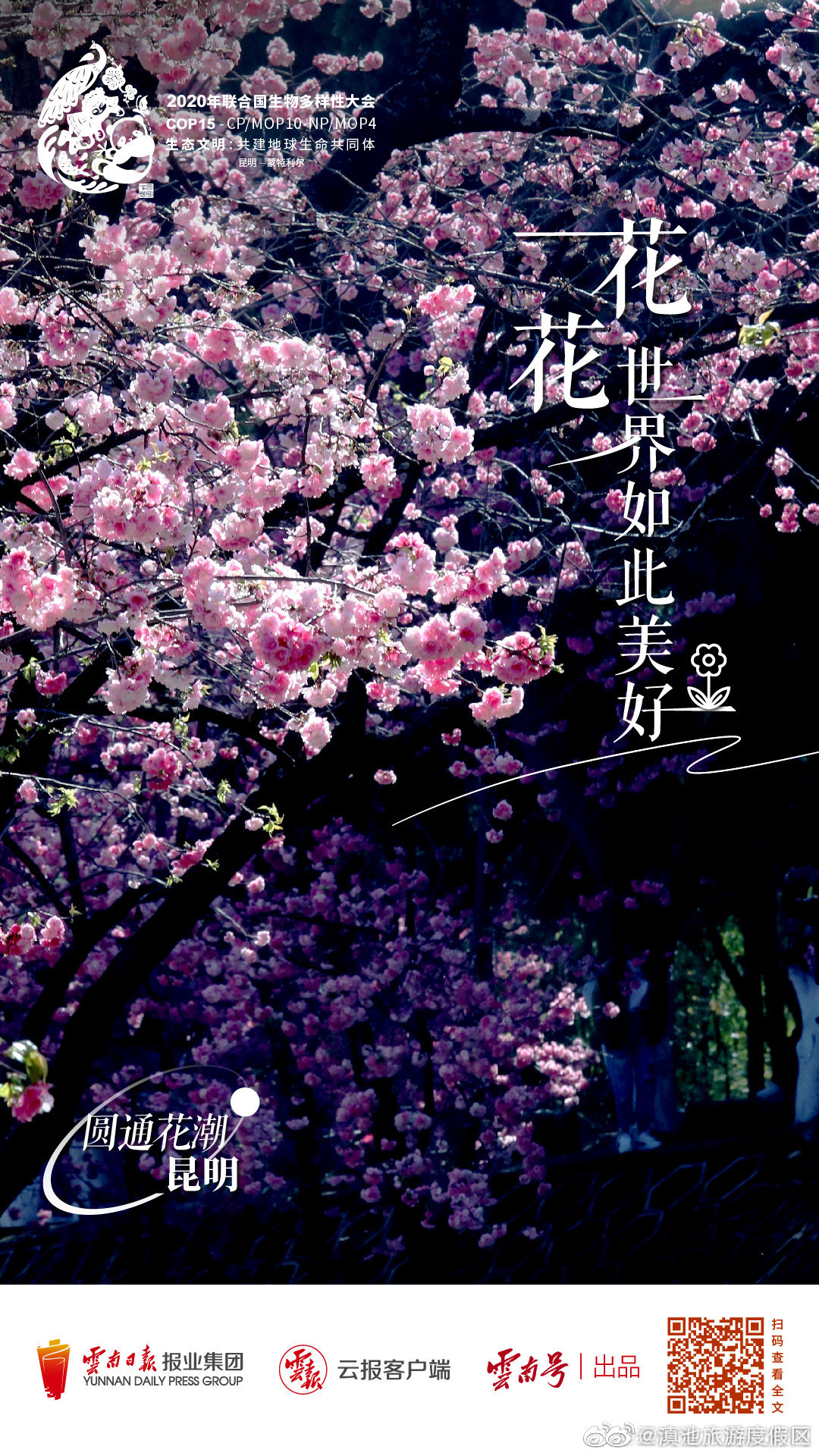 滇池旅游度假区