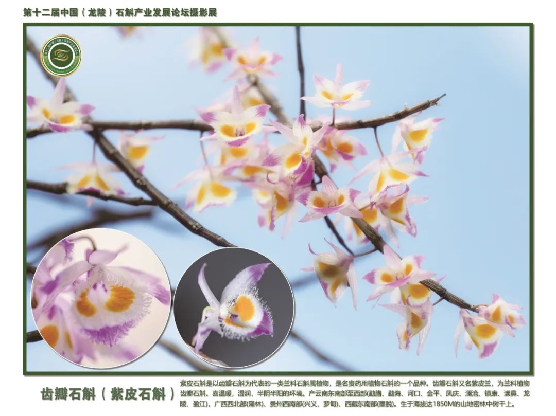 保山广播电视台